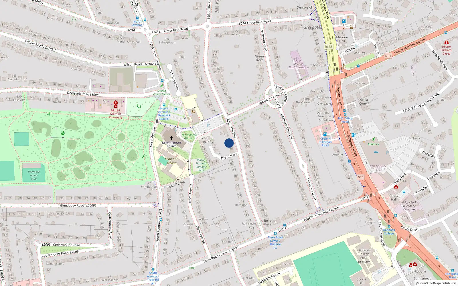 Overhead map showing the location of 87 The Rise, Blackrock