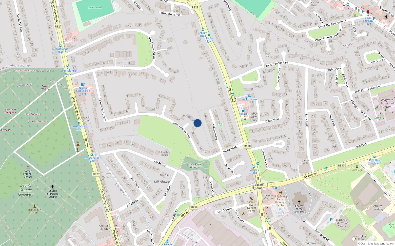 Overhead map showing the location of 88 St Fintans Park, Deans Grange, Blackrock