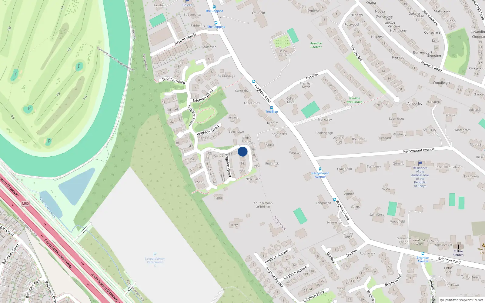 Overhead map showing the location of 89 Brighton Wood, Dublin