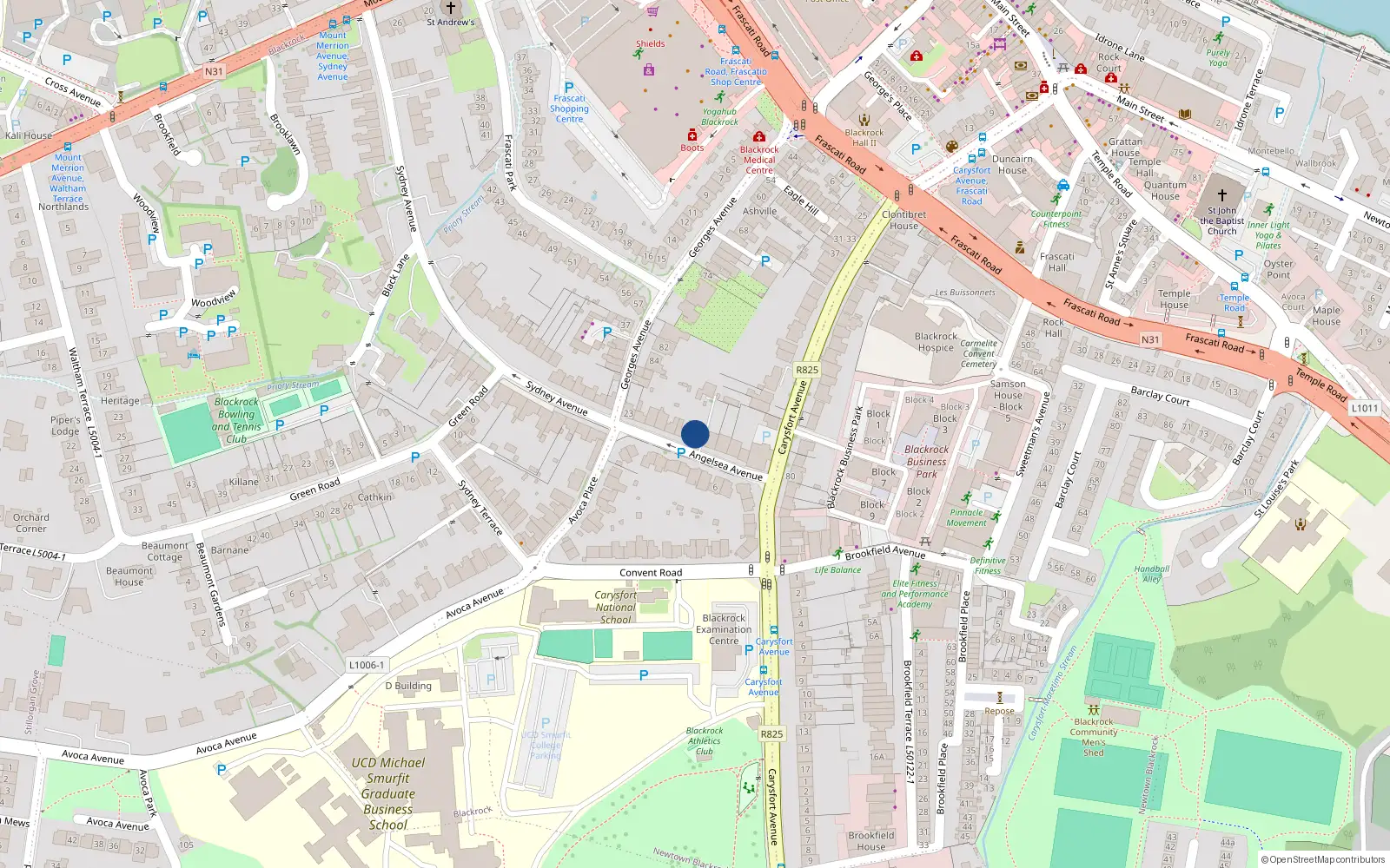 Overhead map showing the location of 9 Anglesea Avenue, Blackrock