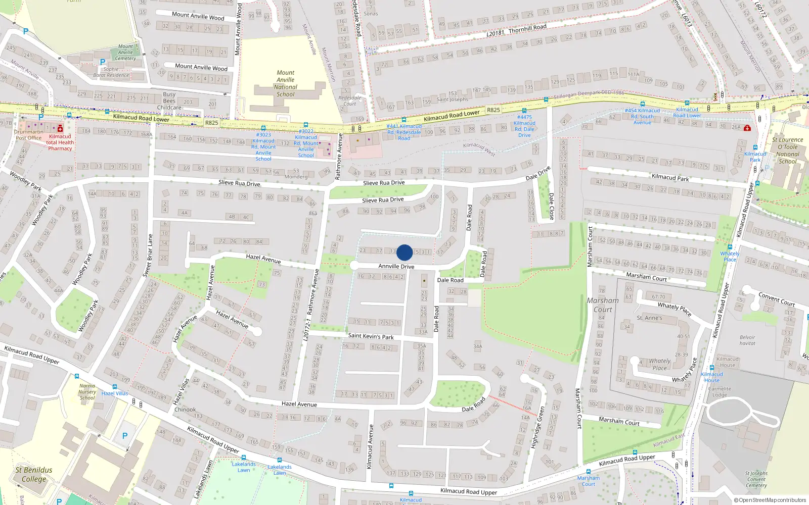 Overhead map showing the location of 9 Annville Drive, Blackrock