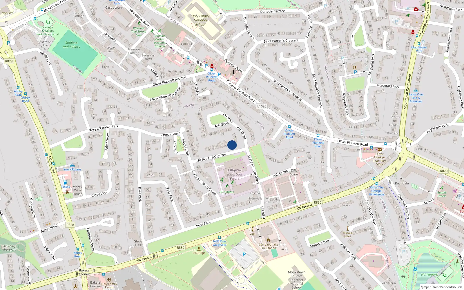 Overhead map showing the location of 9 Ashgrove, Dun Laoghaire