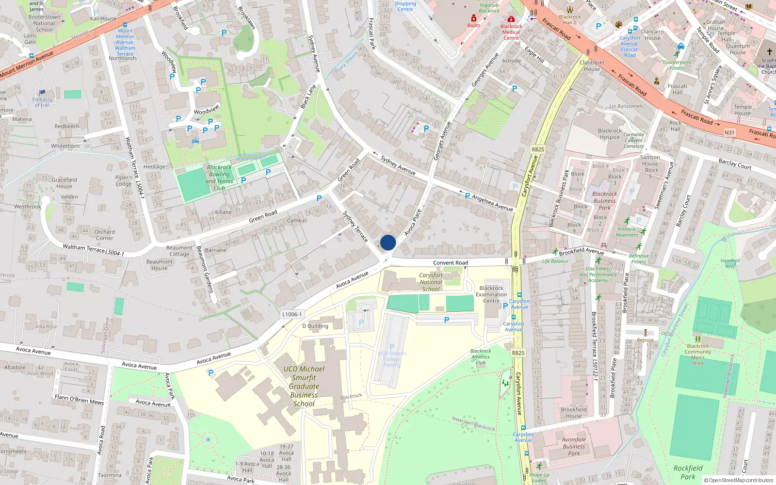 Overhead map showing the location of 9 Avoca Place, Blackrock, Dublin