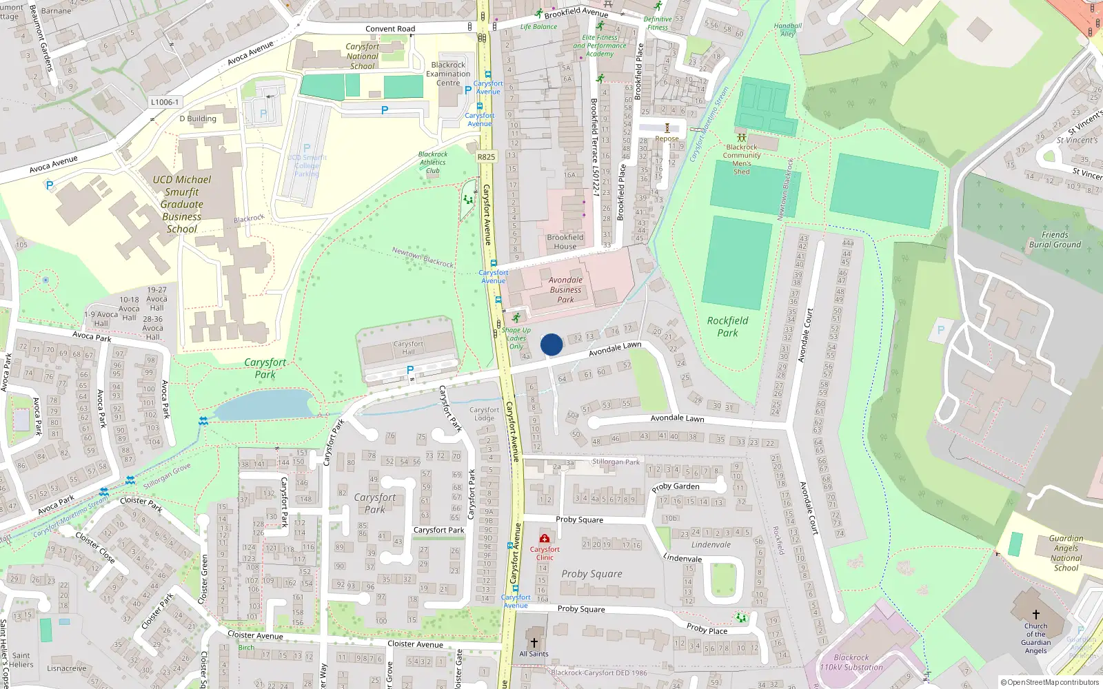 Overhead map showing the location of 9 Avondale Lawn, Blackrock, Dublin