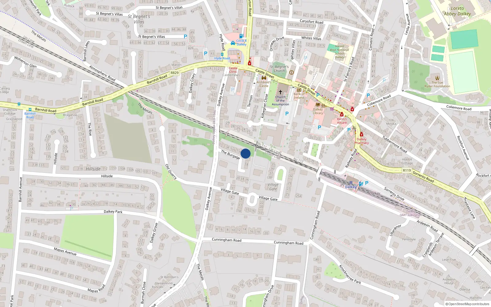 Overhead map showing the location of 9 Burgage, Dalkey Avenue, Dalkey