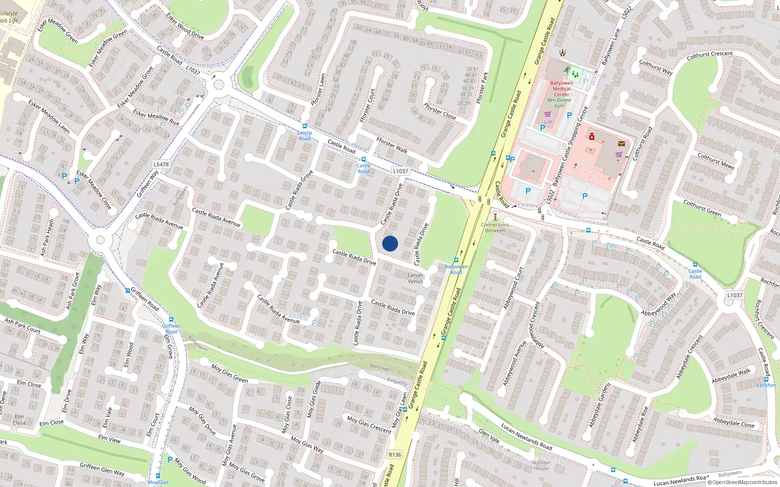 Overhead map showing the location of 9 Castle Riada Drive, Lucan