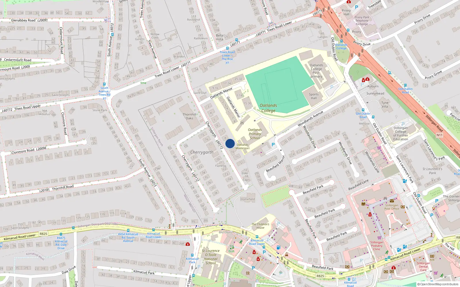 Overhead map showing the location of 9 Cherrygarth, Blackrock