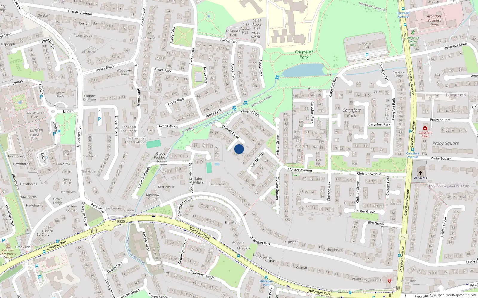 Overhead map showing the location of 9 Cloister Close, Blackrock