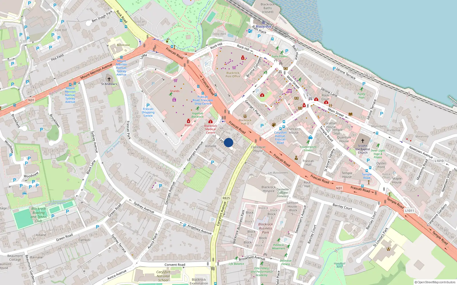 Overhead map showing the location of 9 Eagle Hill, Blackrock, Dublin