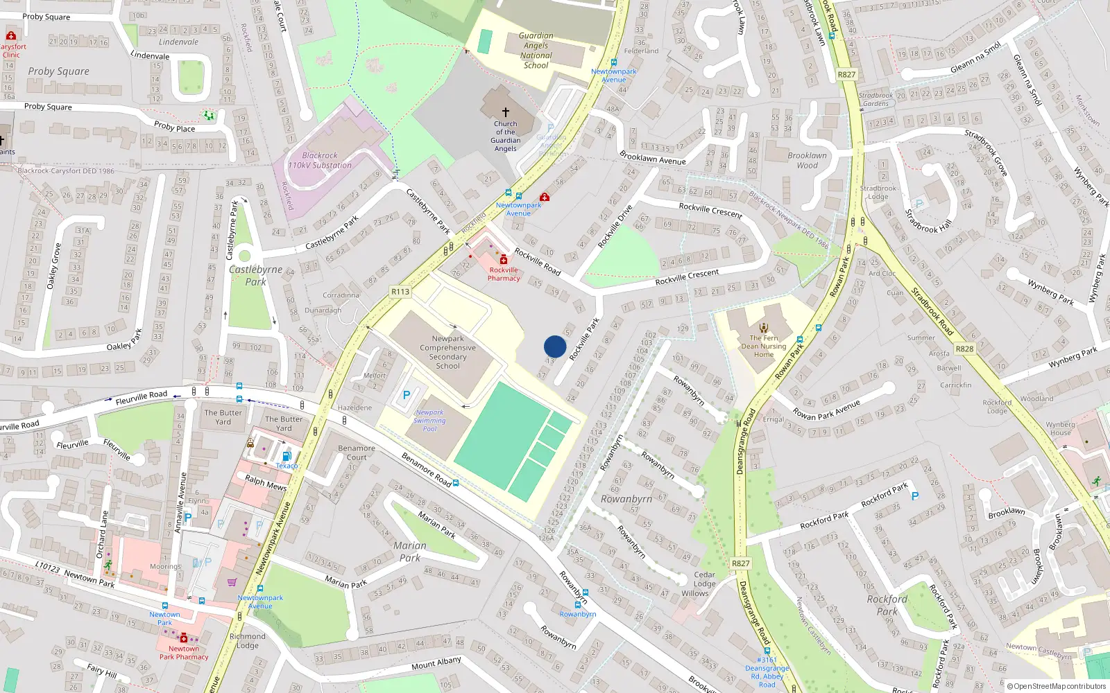 Overhead map showing the location of 9 Rockville Park, Blackrock