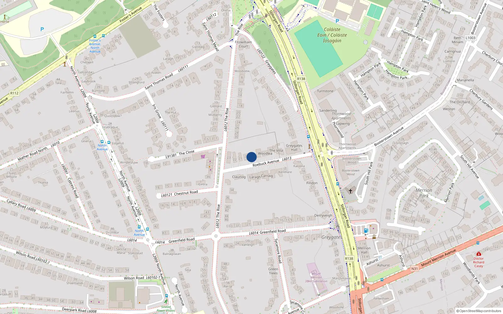 Overhead map showing the location of 9 Roebuck Avenue, Mount Merrion, Blackrock
