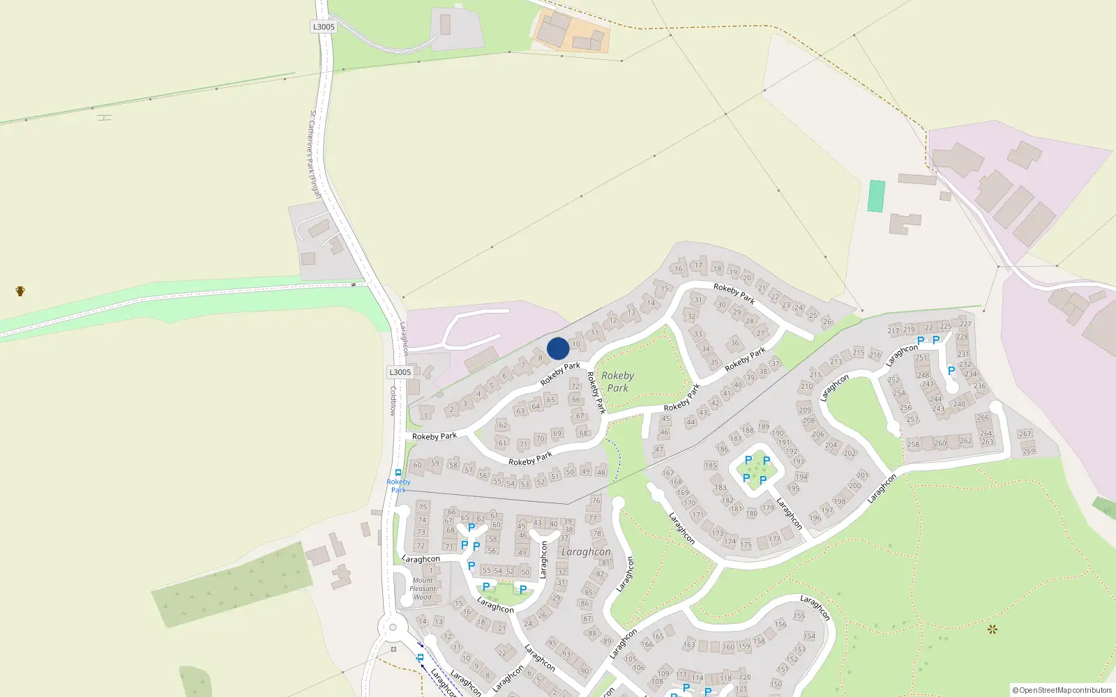 Overhead map showing the location of 9 Rokeby Park, Lucan