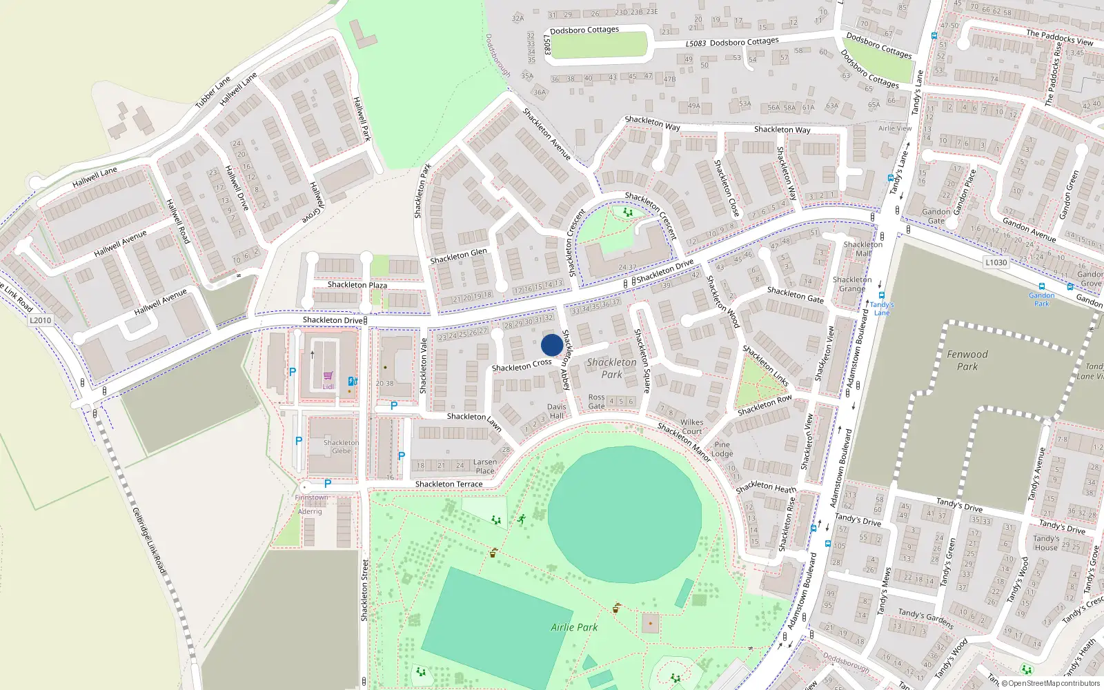 Overhead map showing the location of 9 Shackleton Abbey, Lucan
