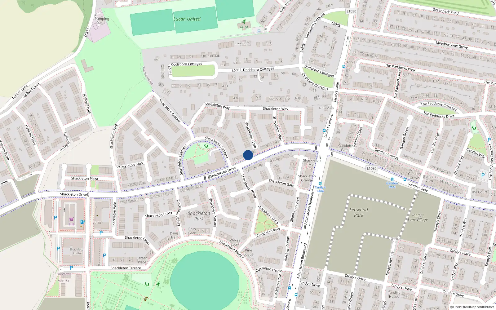 Overhead map showing the location of 9 Shackleton Drive, Shackleton Park, Lucan