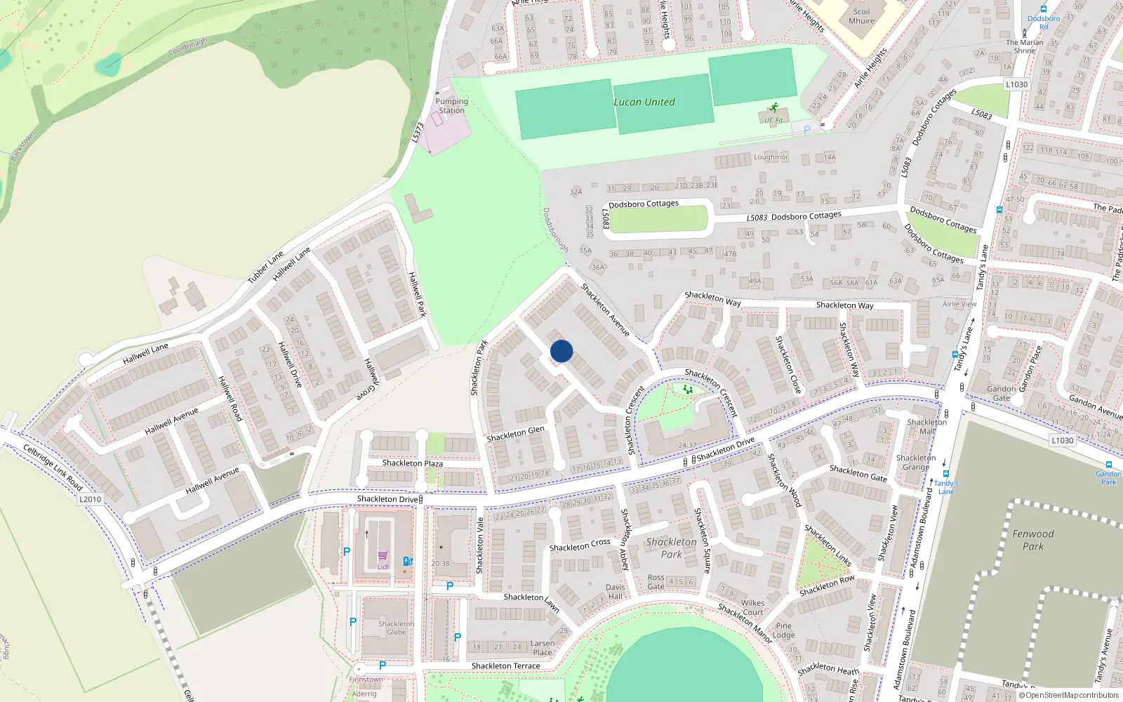 Overhead map showing the location of 9 Shackleton Grove, Lucan