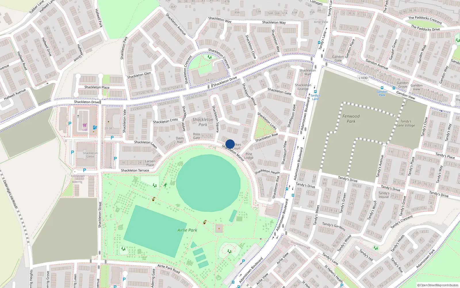 Overhead map showing the location of 9 Shackleton Manor, Lucan