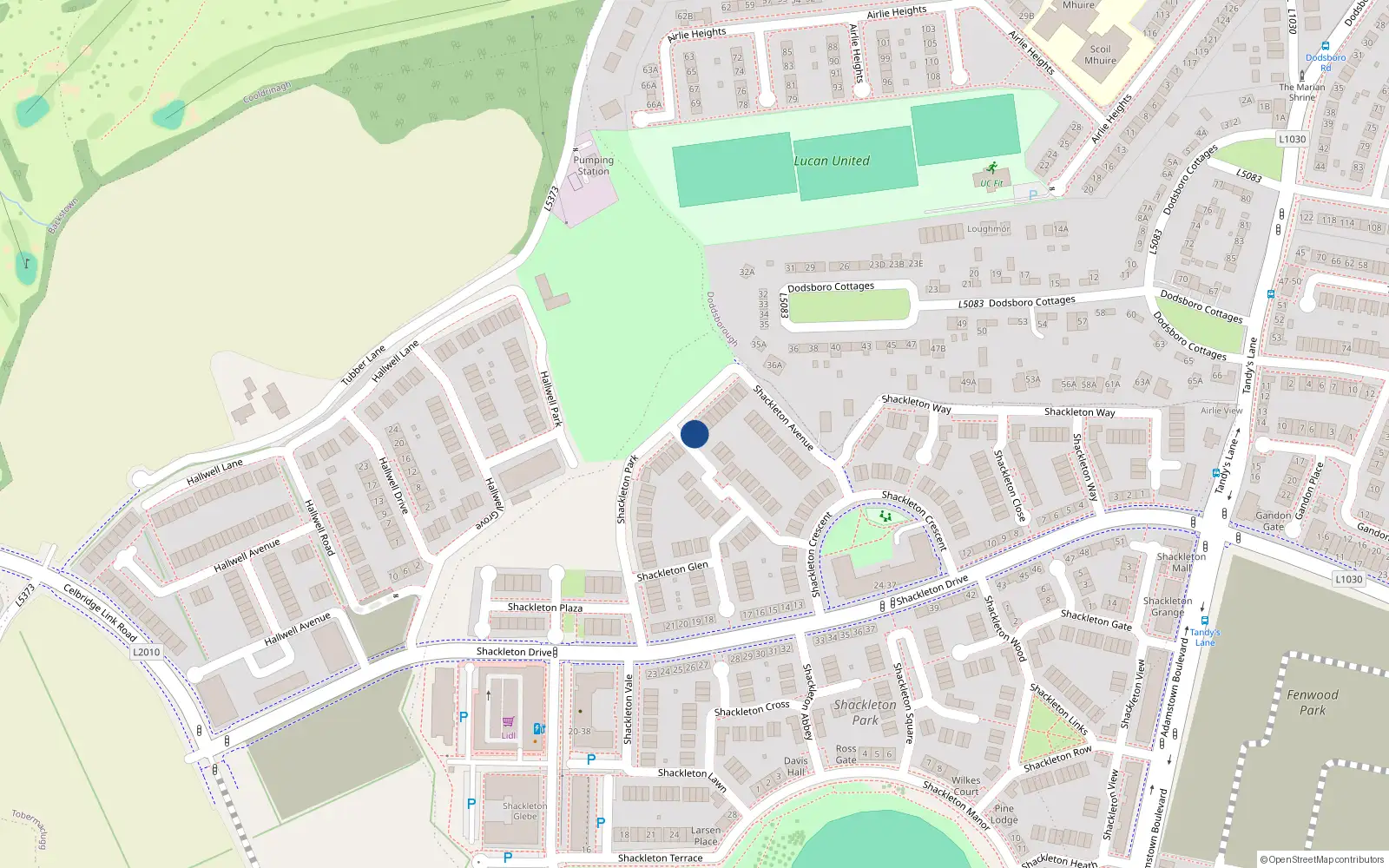 Overhead map showing the location of 9 Shackleton Park, Lucan