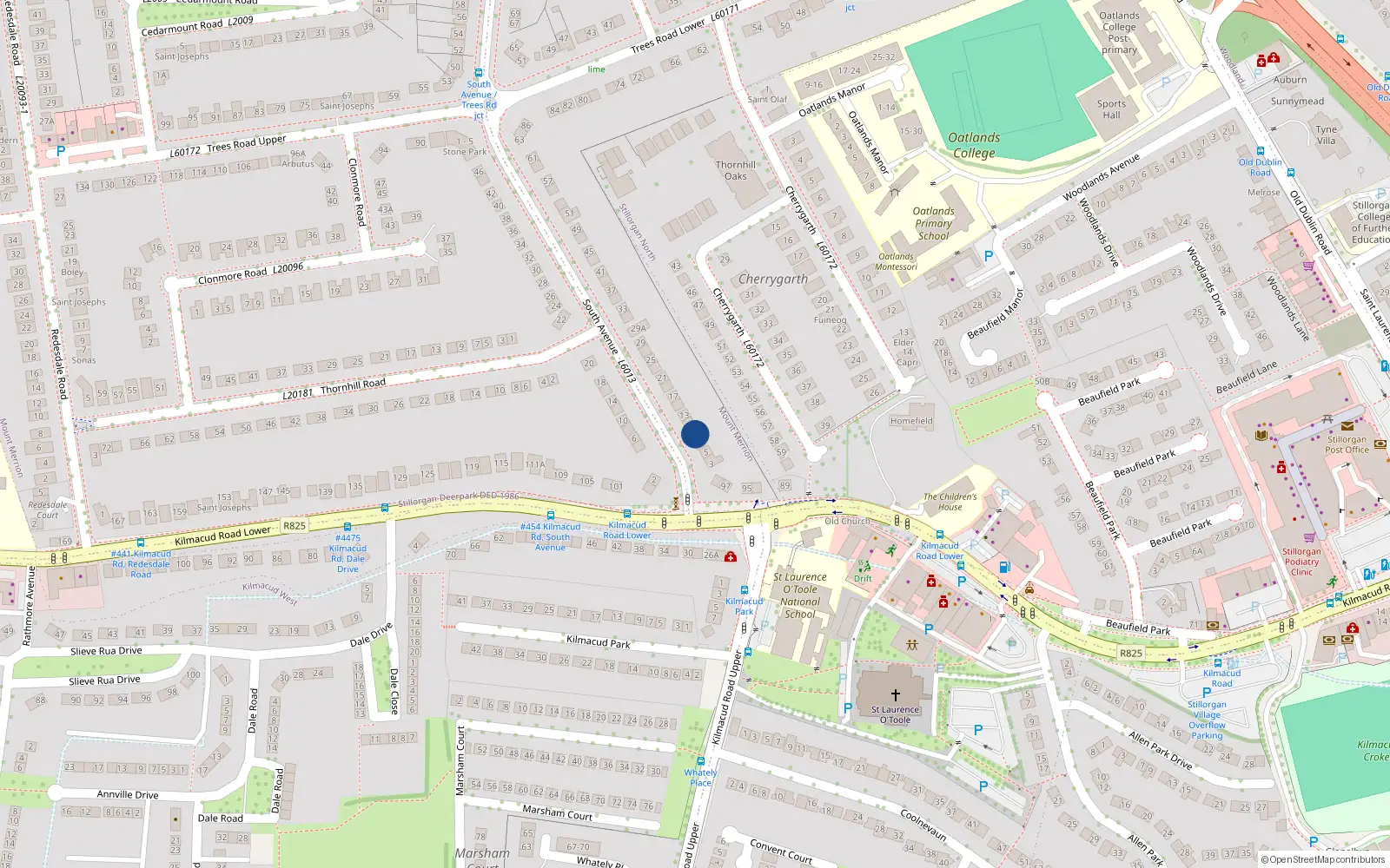 Overhead map showing the location of 9 South Avenue, Mount Merrion, Blackrock