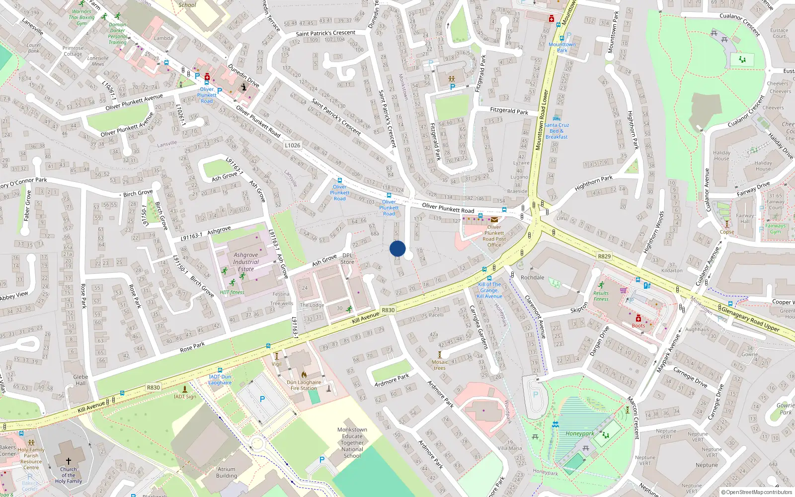 Overhead map showing the location of 9 St Patricks Terrace, Monkstown Farm, Dunlaoghaire