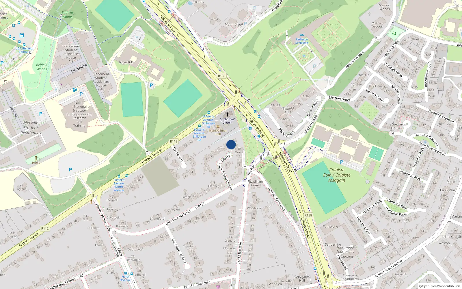 Overhead map showing the location of 9 St Thomas Mead, Mount Merrion, Dublin