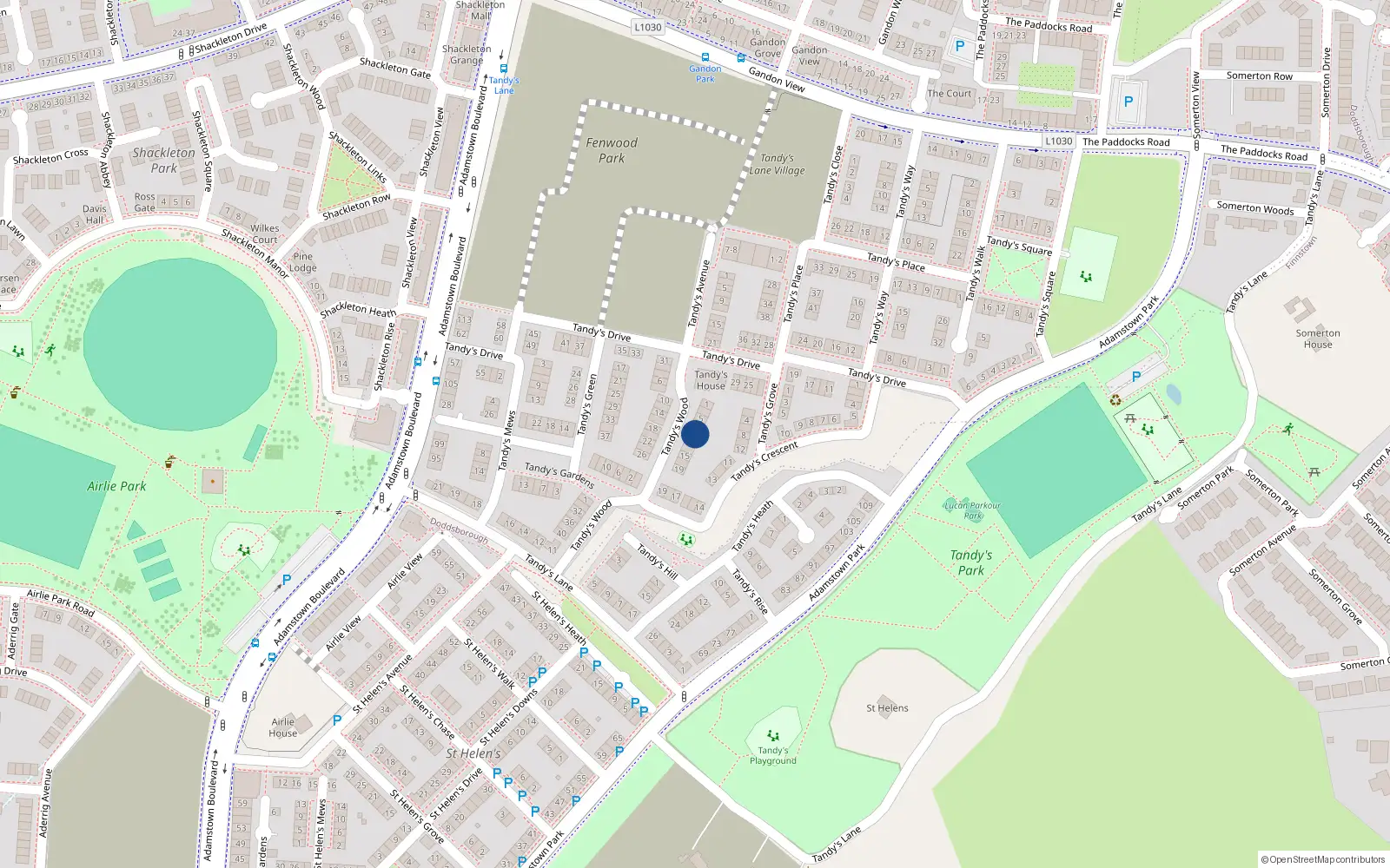 Overhead map showing the location of 9 Tandy's Wood, Lucan
