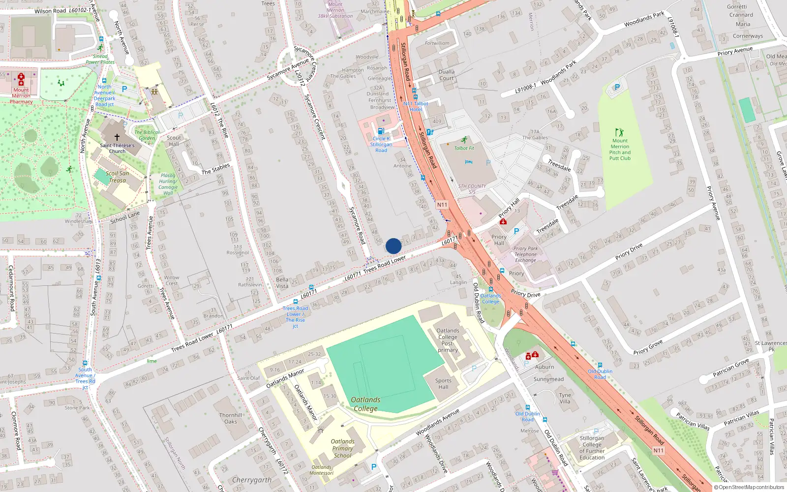 Overhead map showing the location of 9 Trees Road Lower, Mount Merrion