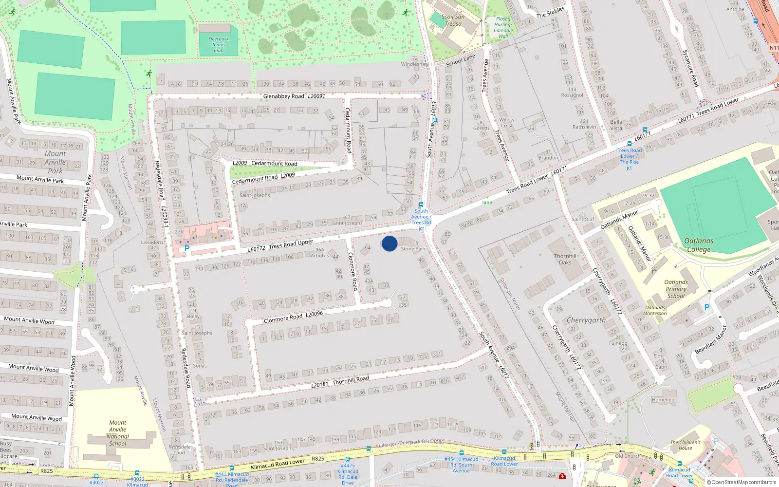 Overhead map showing the location of 90 Trees Road Upper, Blackrock