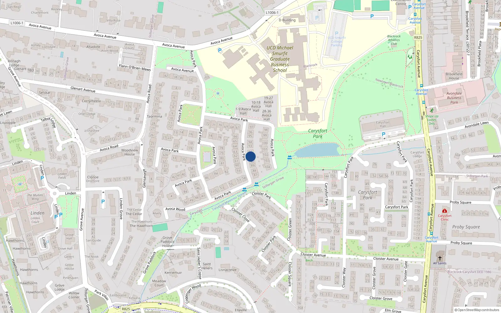 Overhead map showing the location of 91 Avoca Park, Blackrock