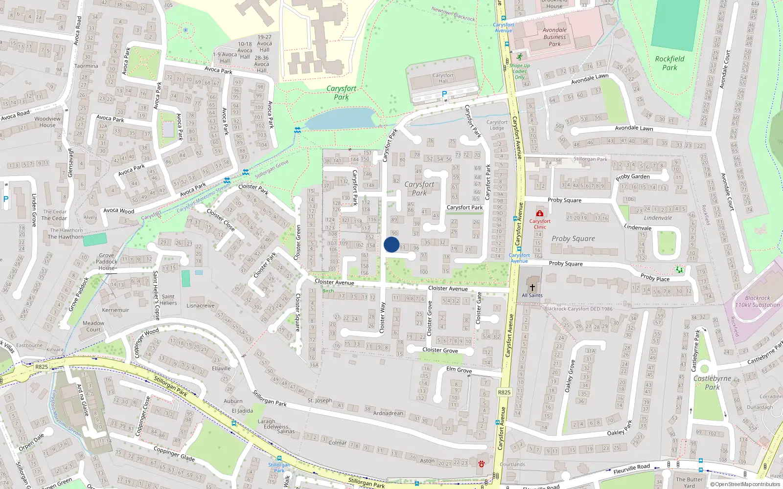 Overhead map showing the location of 91 Carysfort Park, Blackrock