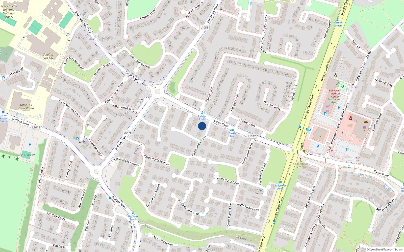 Overhead map showing the location of 91 Castleriada Grove, Castle Road, Lucan
