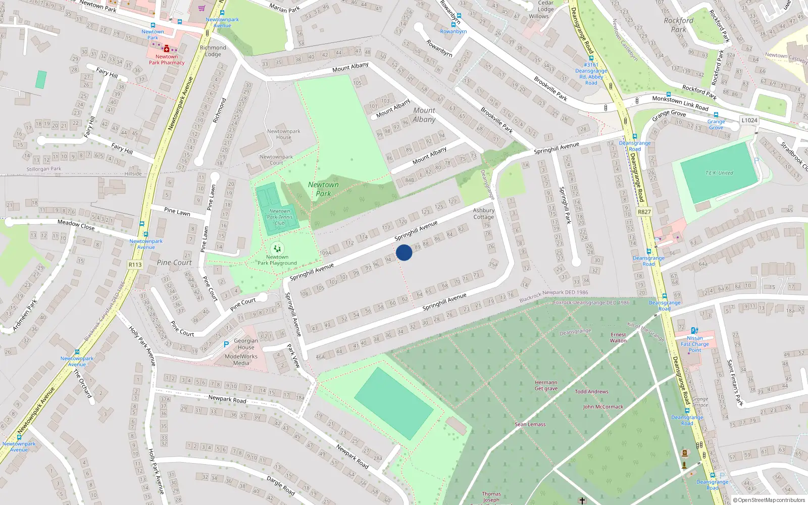 Overhead map showing the location of 91 Springhill Avenue, Blackrock