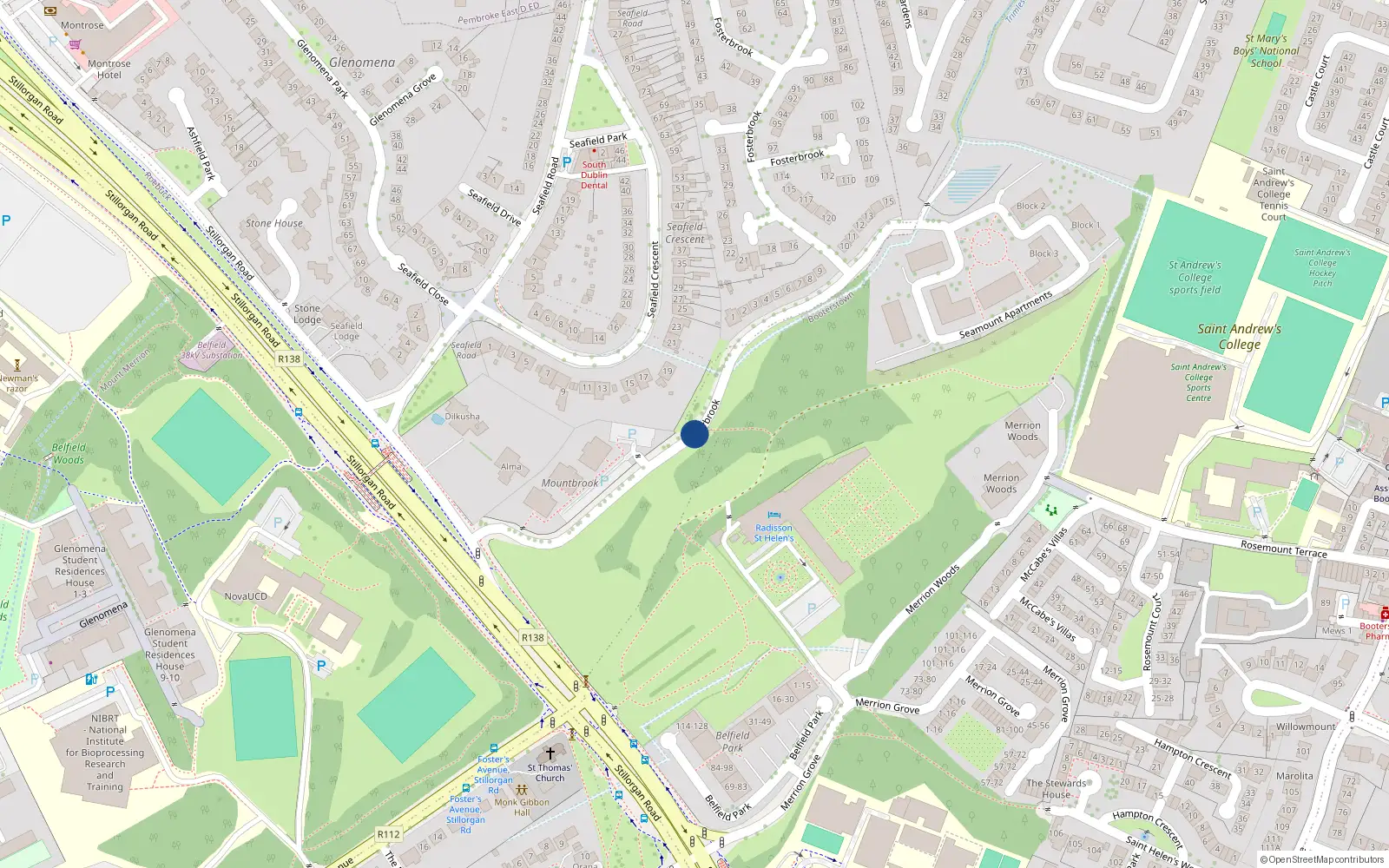 Overhead map showing the location of 92 Fosterbrook, Mount Merrion