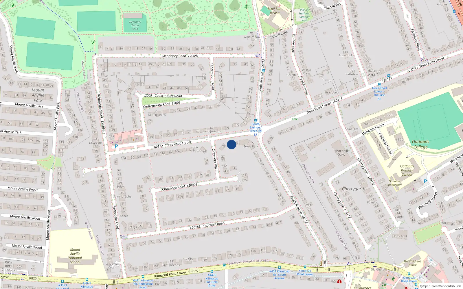 Overhead map showing the location of 92 Trees Road, Mount Merrion, Blackrock