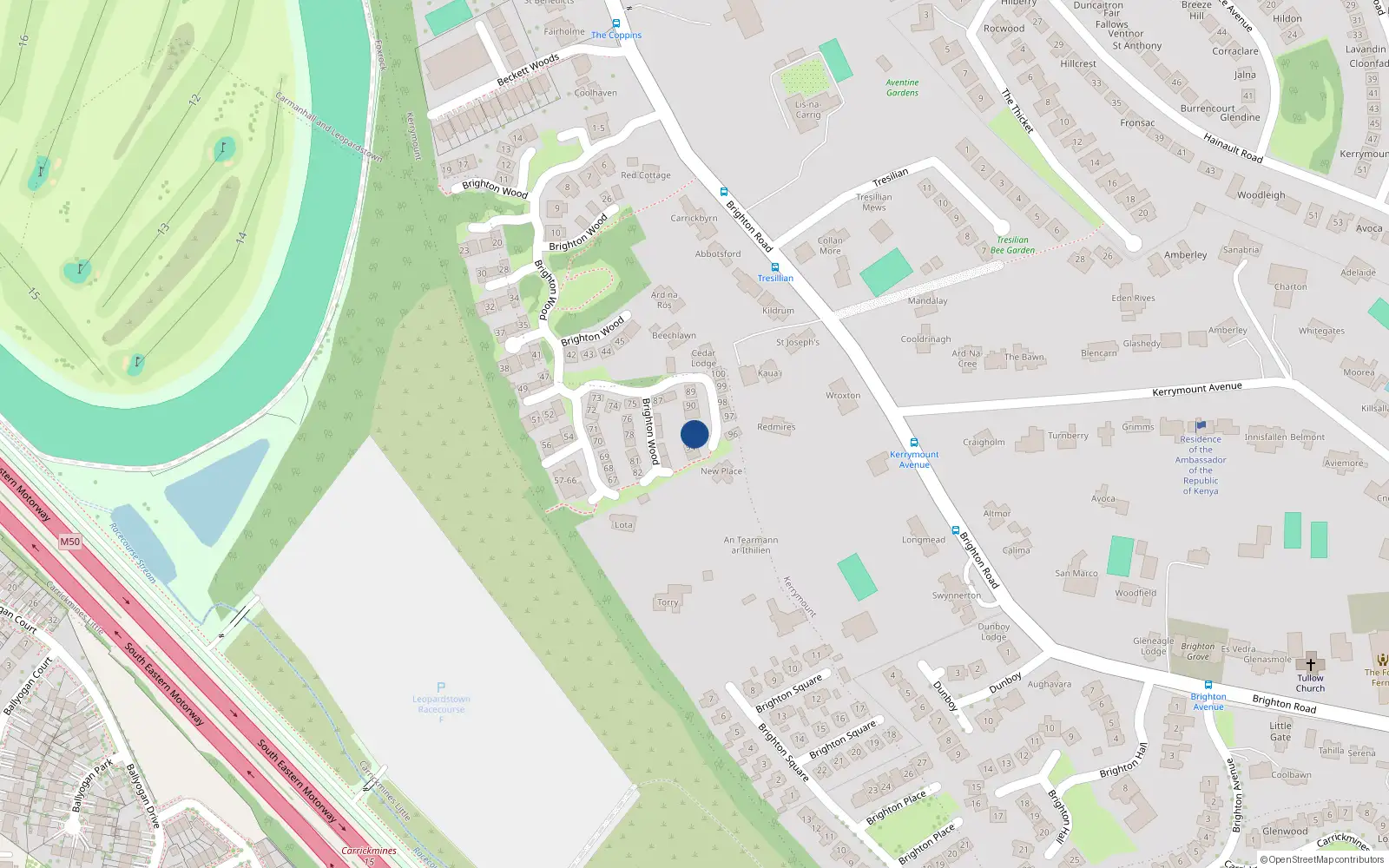 Overhead map showing the location of 93 Brighton Wood, Dublin
