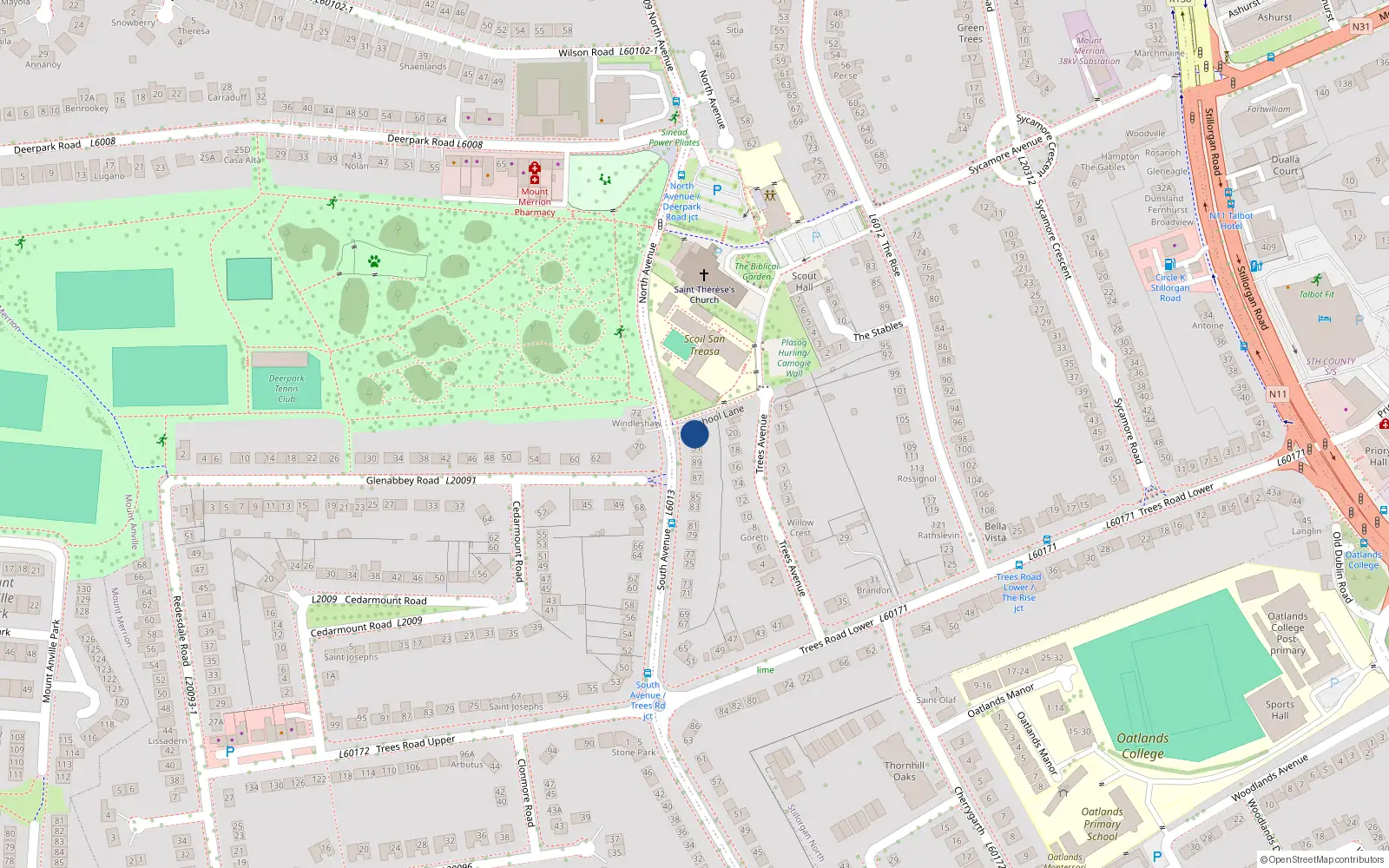 Overhead map showing the location of 93 South Avenue, Mount Merrion, Blackrock