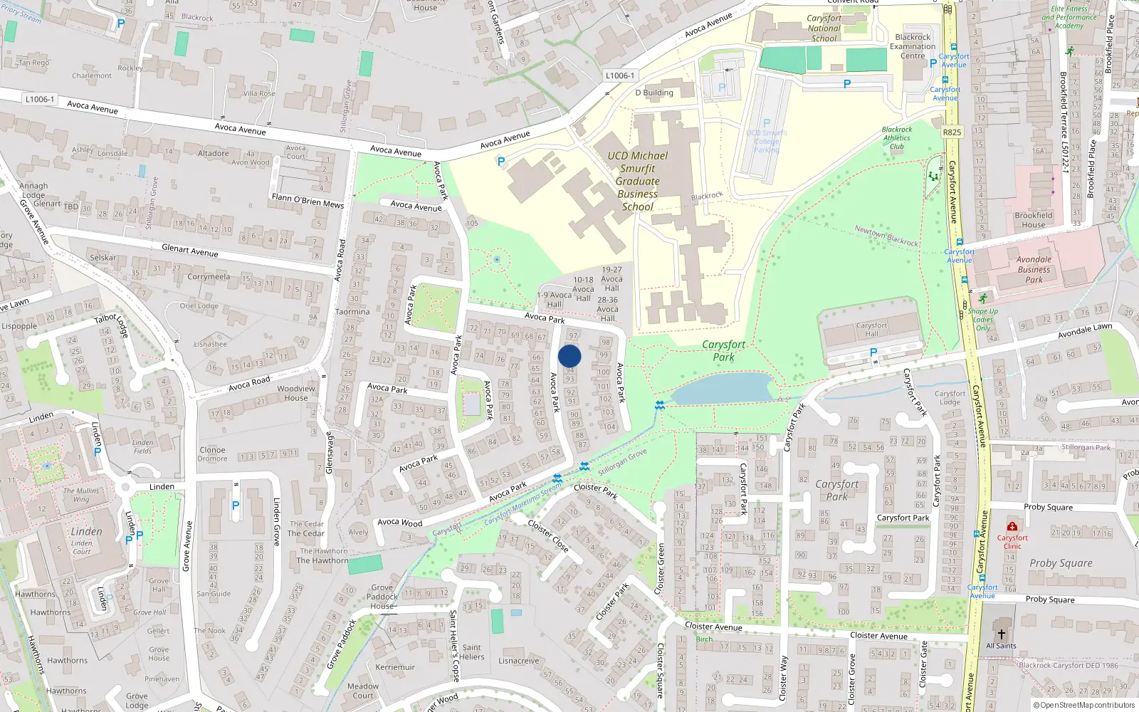 Overhead map showing the location of 95 Avoca Park, Blackrock