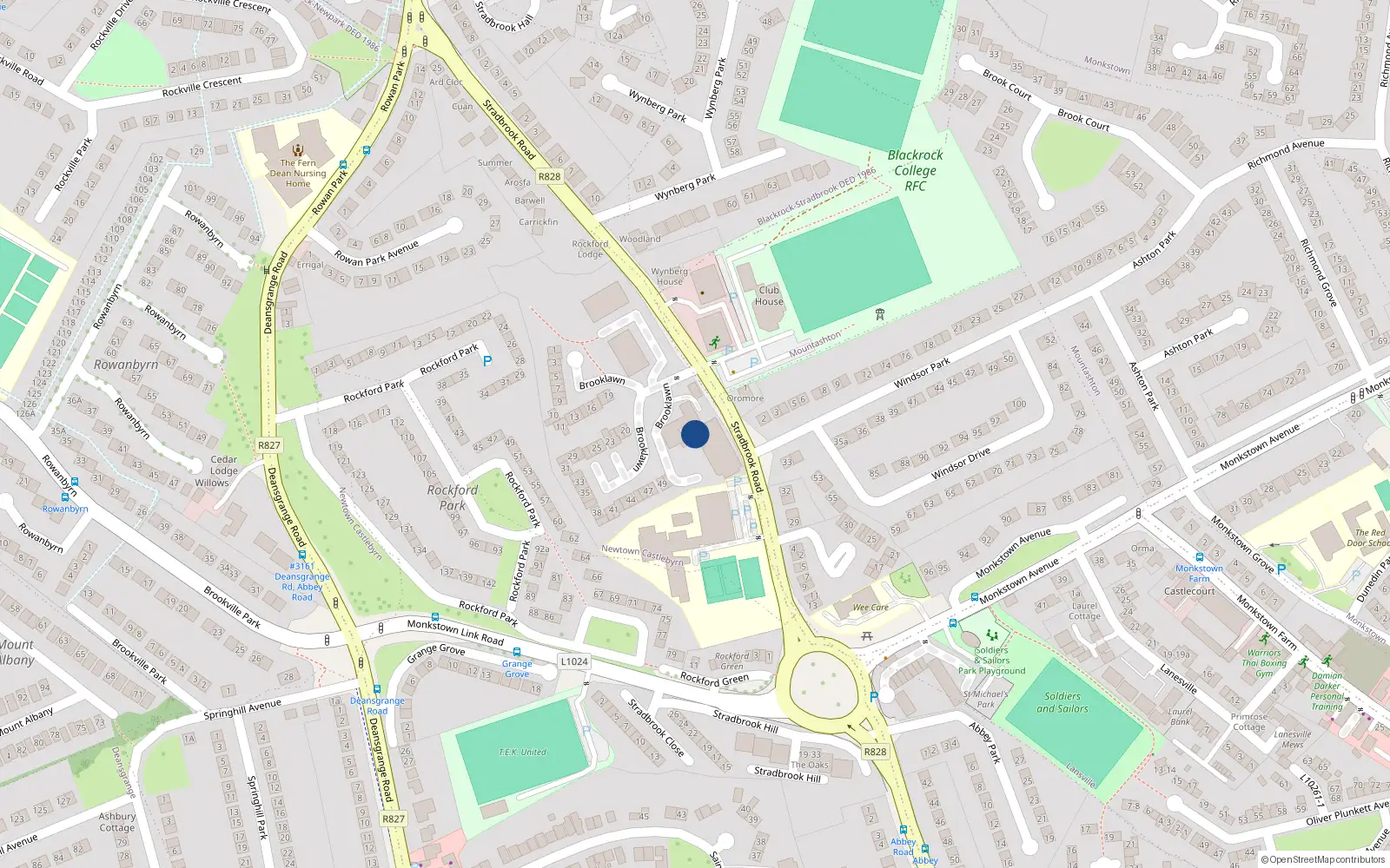 Overhead map showing the location of 95 Rockford Manor, Monkstown