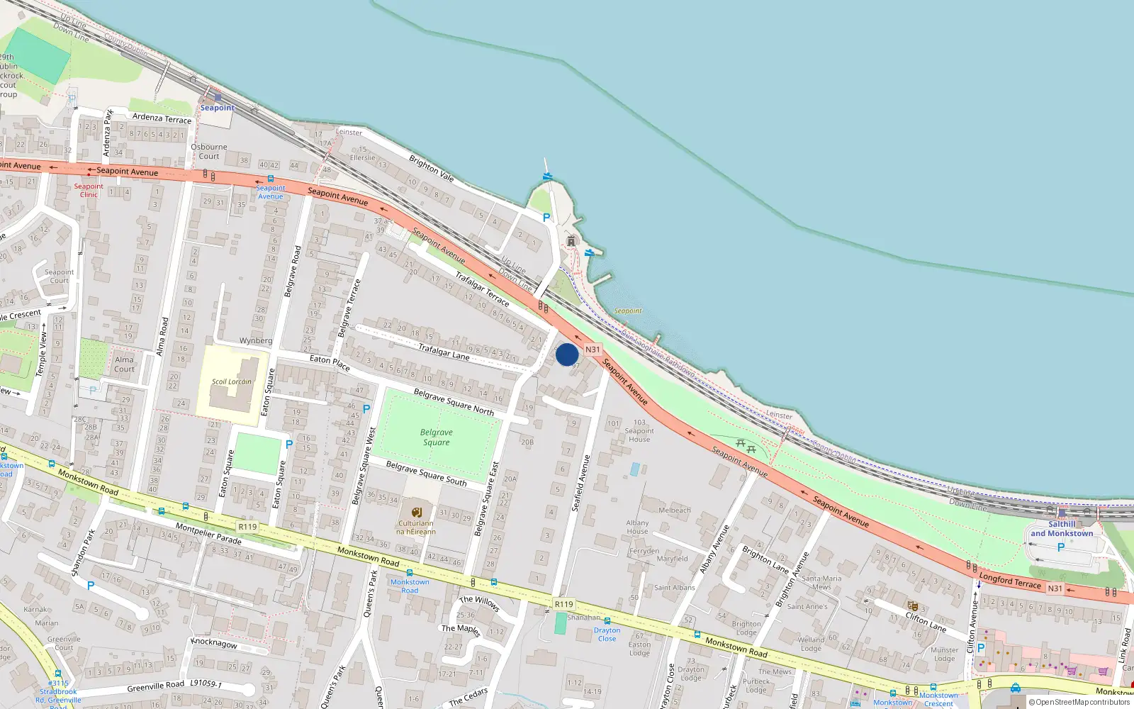 Overhead map showing the location of 95 Seapoint Avenue, Blackrock