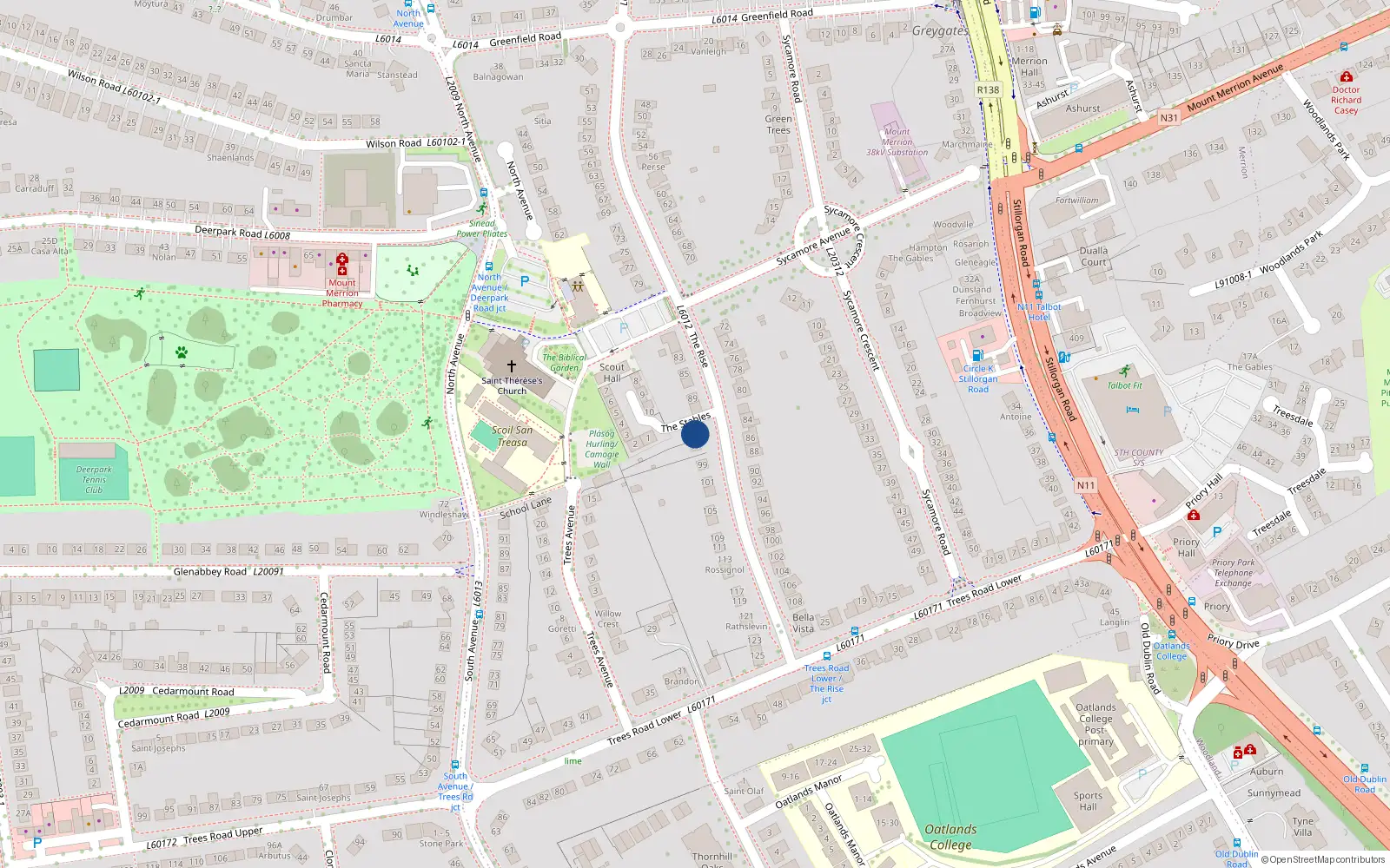 Overhead map showing the location of 95 The Rise, Blackrock
