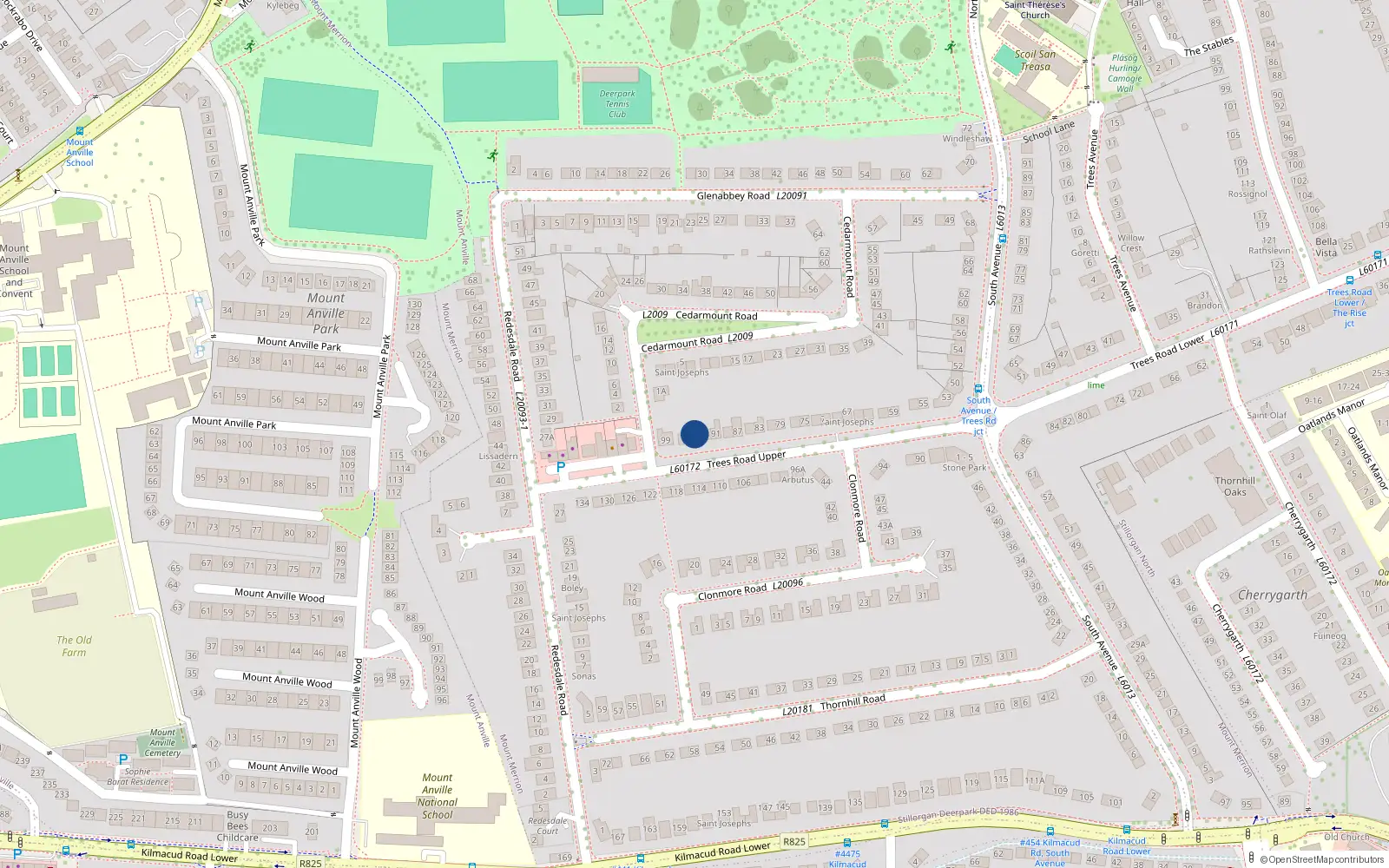 Overhead map showing the location of 95 Trees Road Upper, Blackrock