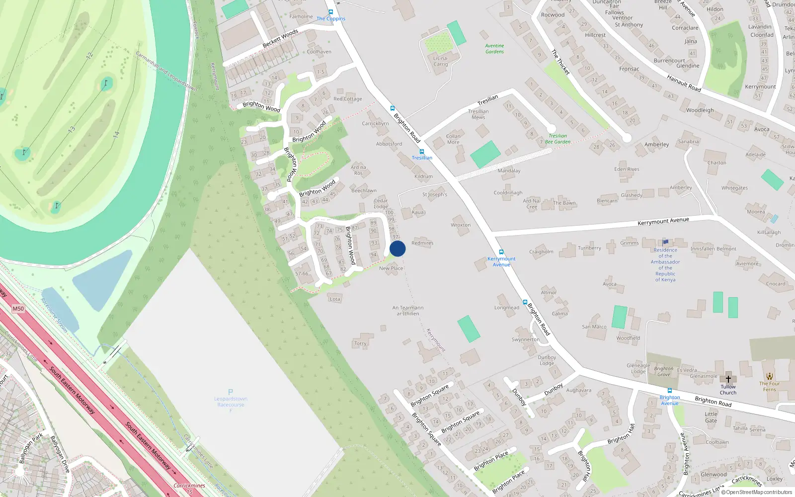 Overhead map showing the location of 96 Brighton Wood, Foxrock