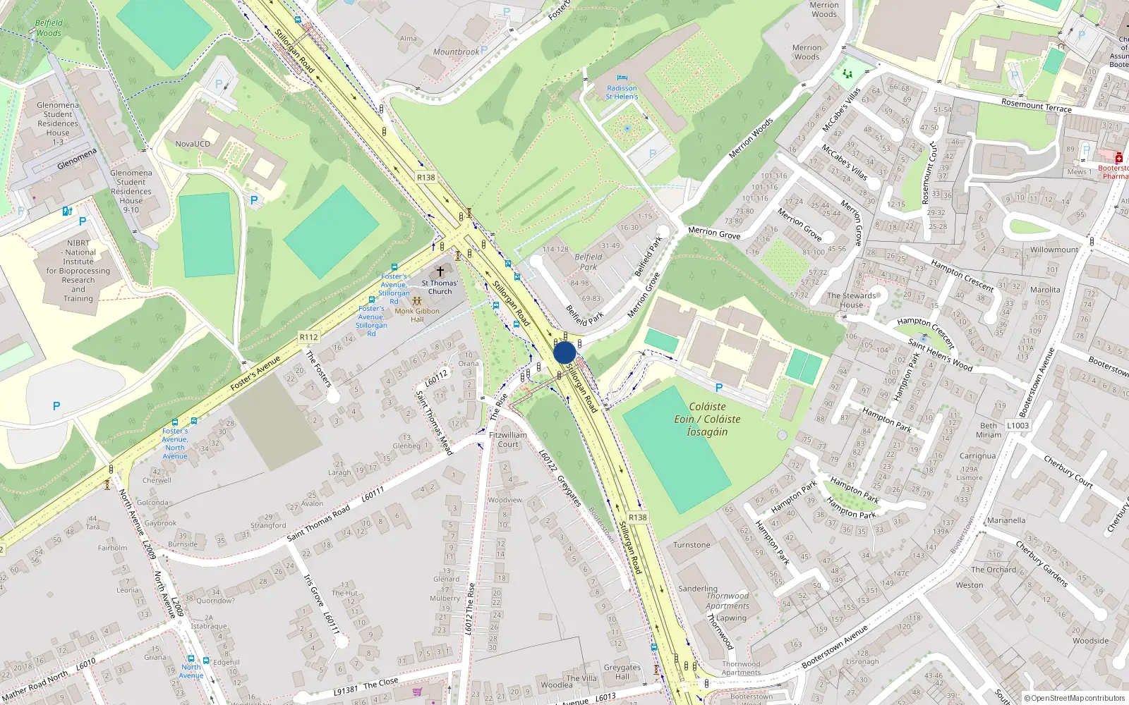 Overhead map showing the location of 96 Merrion Grove, Booterstown