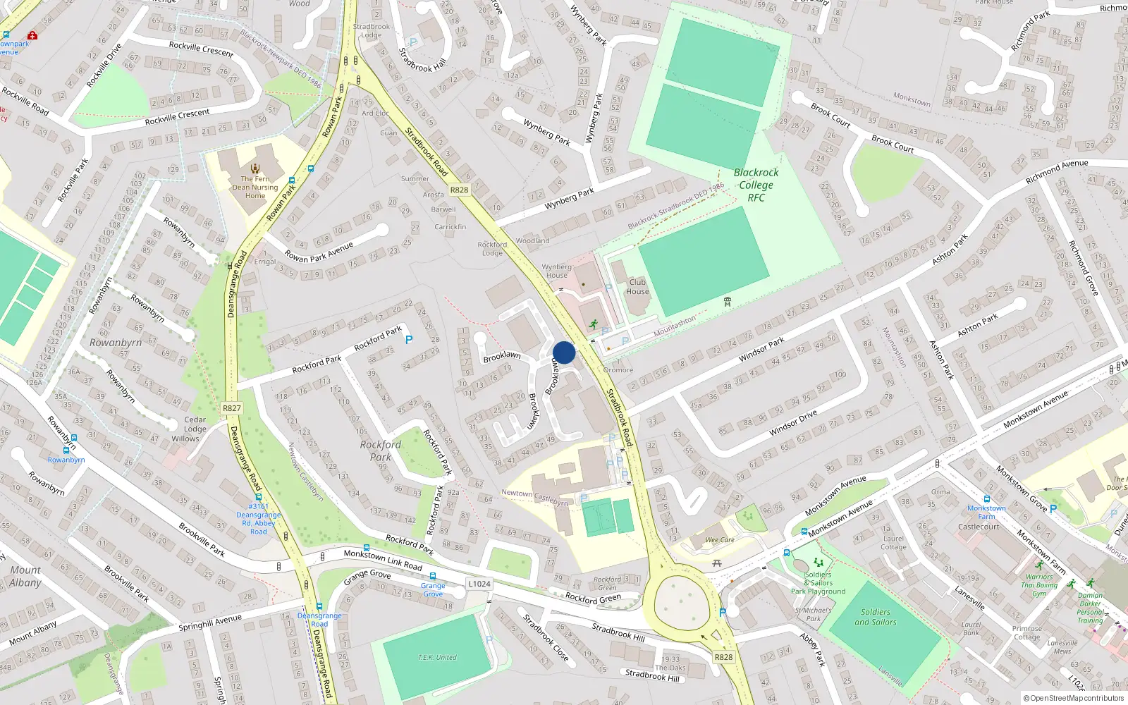Overhead map showing the location of 96 Rockford Manor, Monkstown