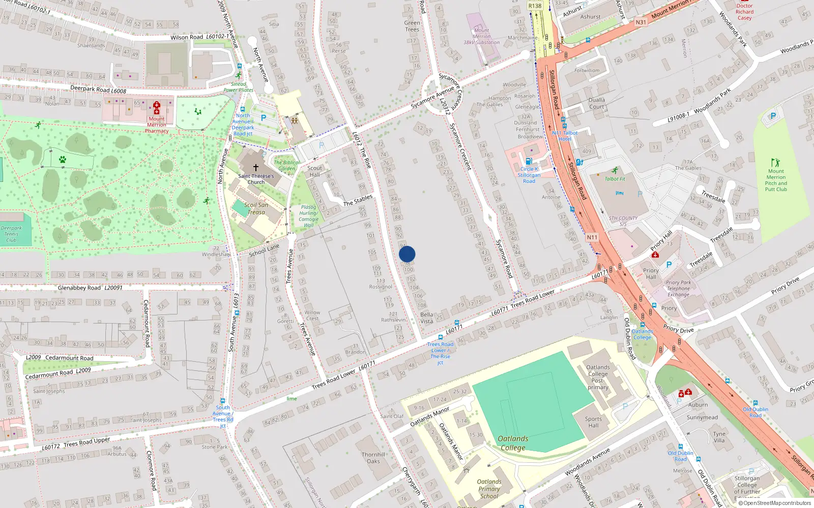 Overhead map showing the location of 96 The Rise, Blackrock