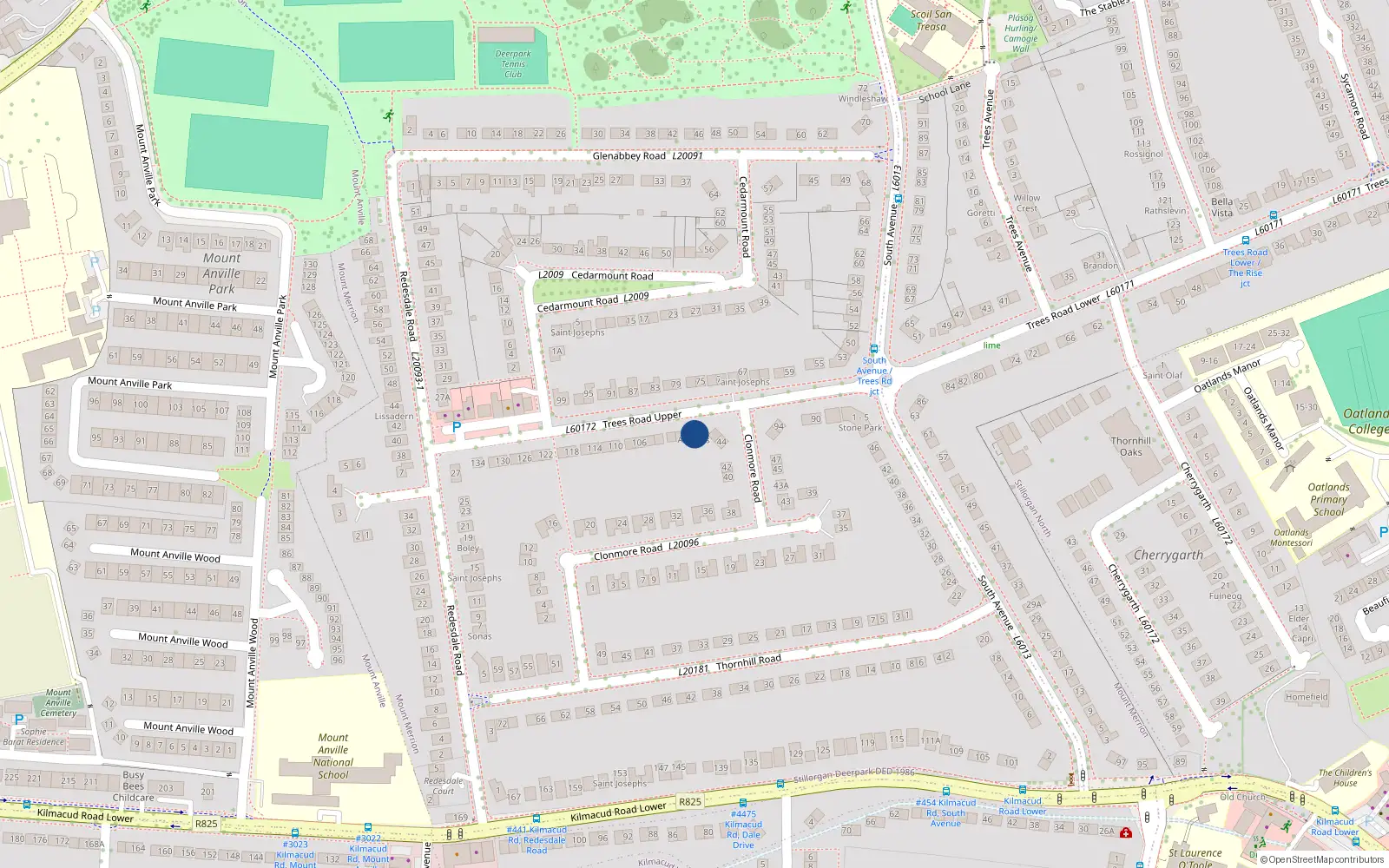 Overhead map showing the location of 96A Trees Road Upper, Blackrock