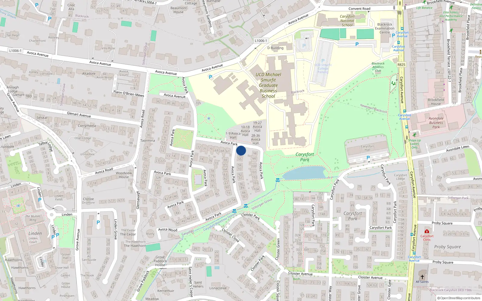 Overhead map showing the location of 97 Avoca Park, Blackrock