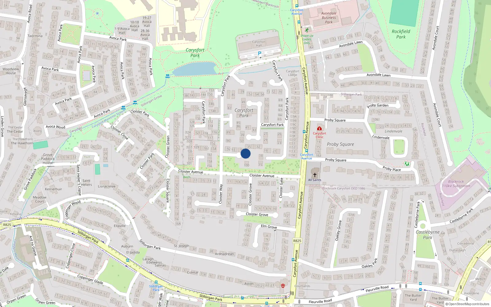 Overhead map showing the location of 97 Carysfort Park, Blackrock