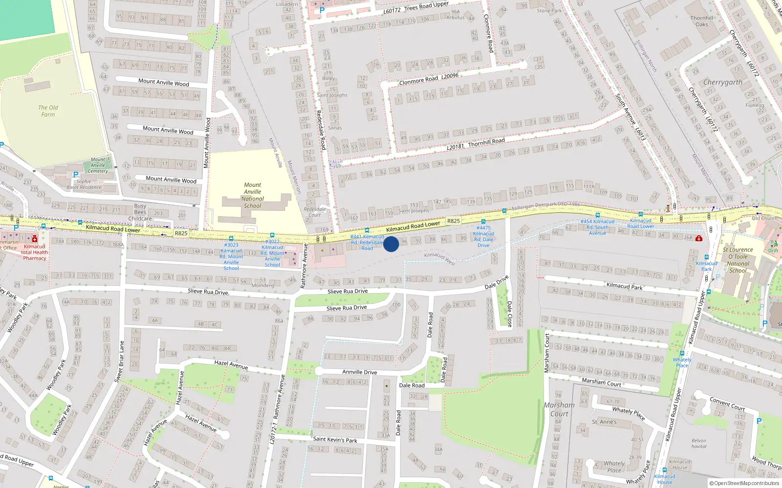 Overhead map showing the location of 98 Lr Kilmacud Road, Stillorgan, Dublin