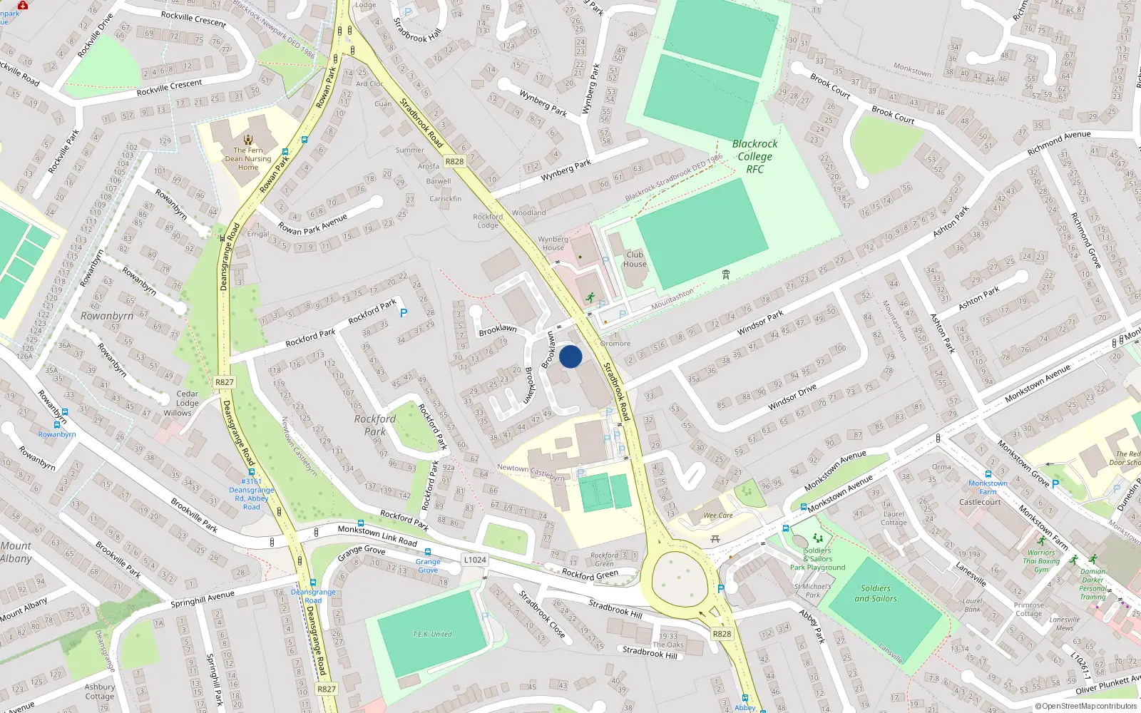 Overhead map showing the location of 98 Rockford Manor, Blackrock