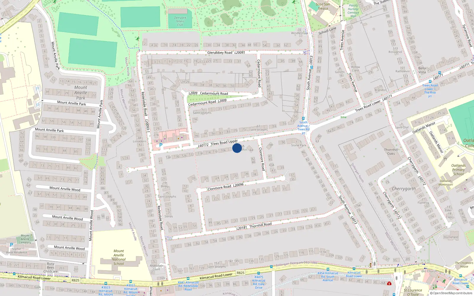 Overhead map showing the location of 98 Trees Road Upper, Mount Merrion
